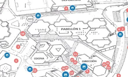 CONOCE LOS ÁRBOLES DE NUESTRO CENTRO