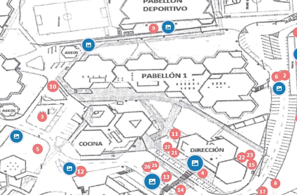 CONOCE LOS ÁRBOLES DE NUESTRO CENTRO