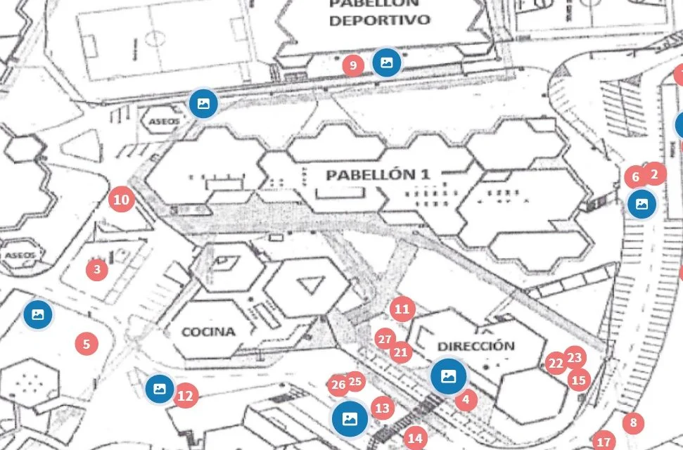 CONOCE LOS ÁRBOLES DE NUESTRO CENTRO